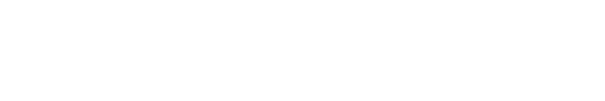 NightHawk_logo-white